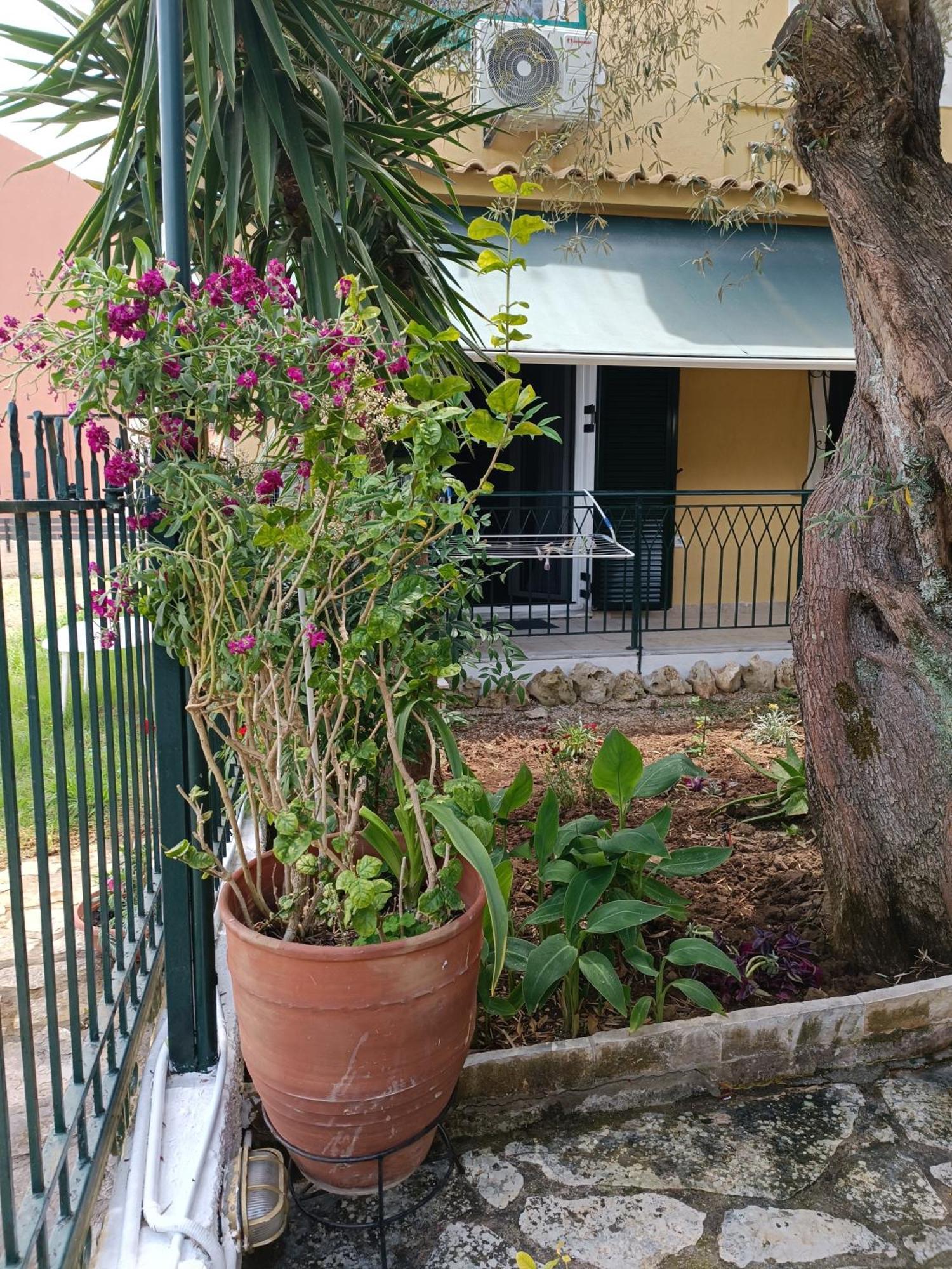 Ferienwohnung Casa Trizoni Nikiana Exterior foto