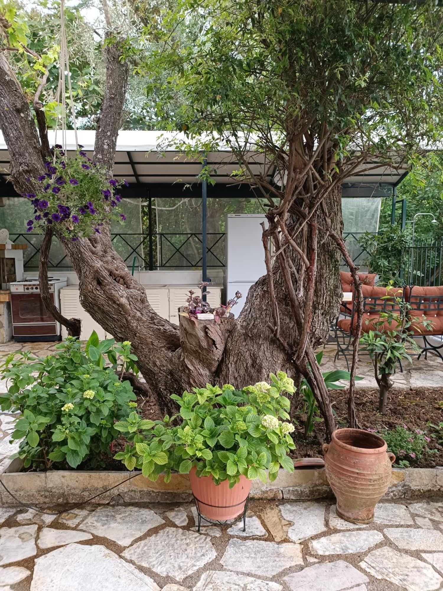 Ferienwohnung Casa Trizoni Nikiana Exterior foto