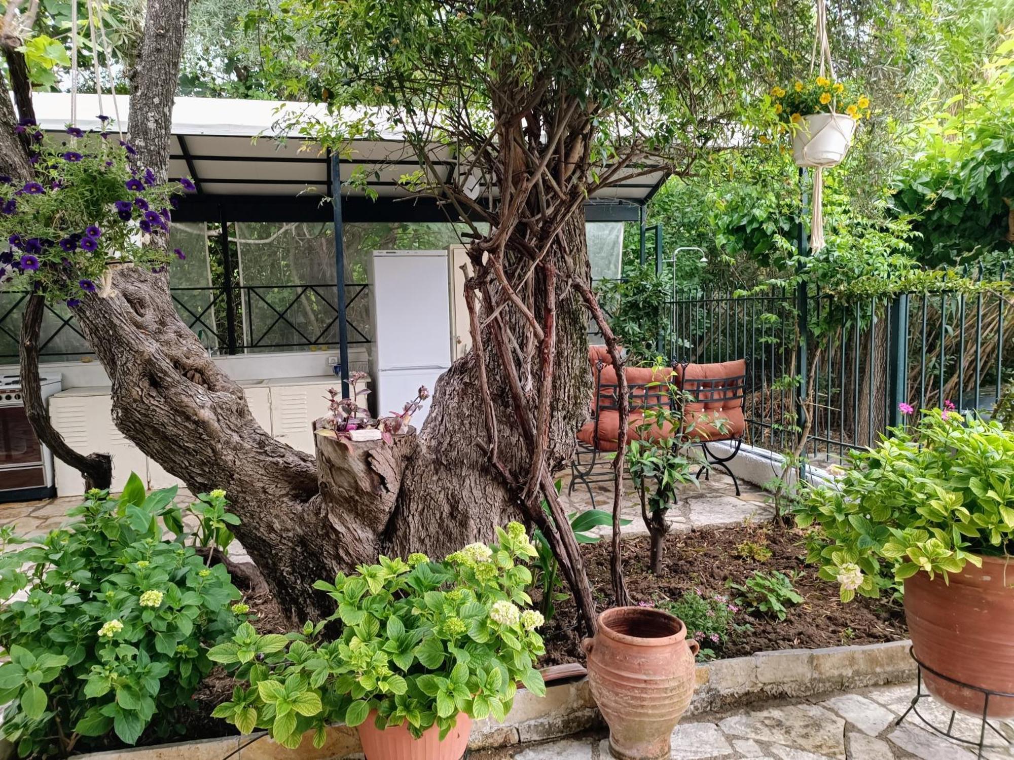 Ferienwohnung Casa Trizoni Nikiana Exterior foto